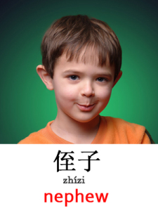 learn nephew in Mandarin Chinese