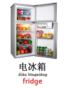 learn fridge in Mandarin Chinese