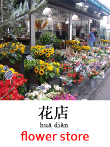 learn flower store in Mandarin Chinese