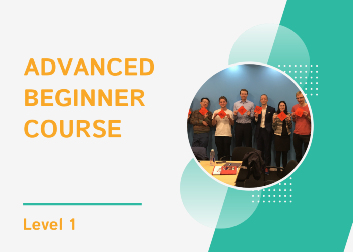 Advanced beginner course lv 1 cover photo (green)