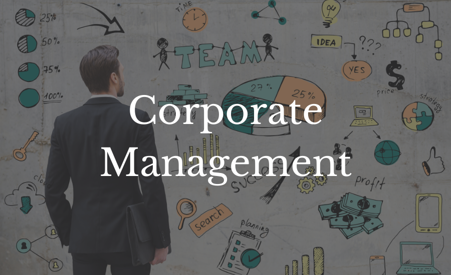 Practical Mandarin corporate management advanced business mandarin lesson