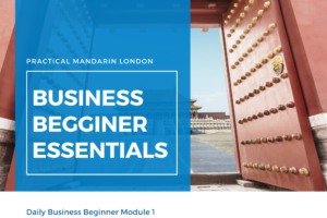Practical Mandarin Cover image of daily business mandarin beginner module 1