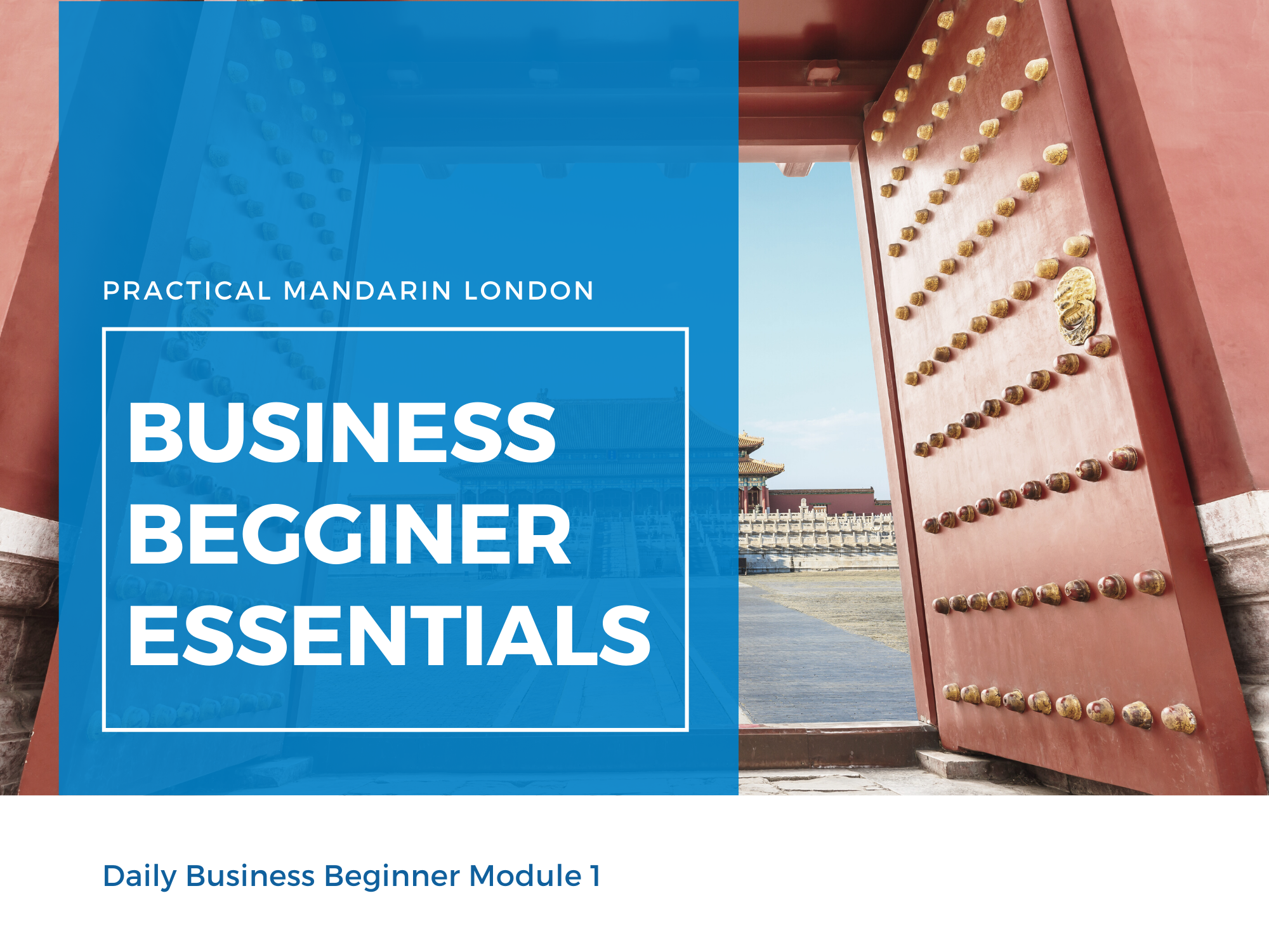 Practical Mandarin Cover image of daily business mandarin beginner module 1