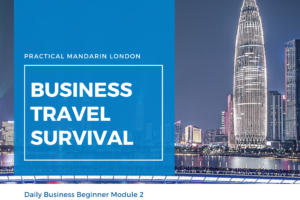 Practical Mandarin Cover image of daily business mandarin beginner module 2