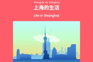Practical Mandarin New Material