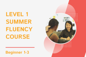 chinese summer course beginner level